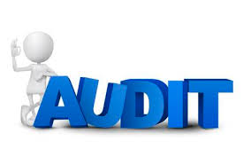 Image result for audited accounts clipart