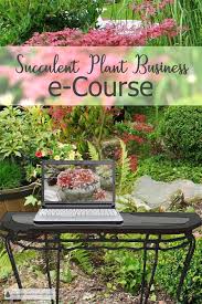 Start Your Own Succulent Plant Business