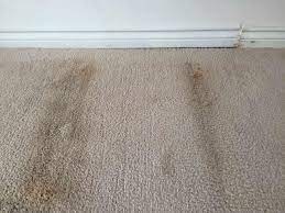 can i change apartments if the carpet