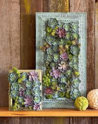how to create succulent wall art with