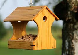 top 10 bird feeder plans the basic