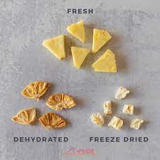 freeze dried vs dehydrated what s