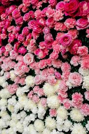 39 Flower Wall Wedding Backdrops