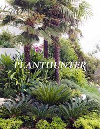 110 palm garden ideas tropical