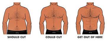 the cutting guide how to burn fat