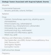 Specific Forms Of Anemia Section 3 Anemia