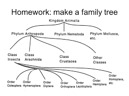 Make A Family Tree Online Free
