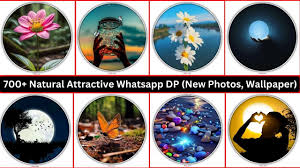 natural attractive whatsapp dp new