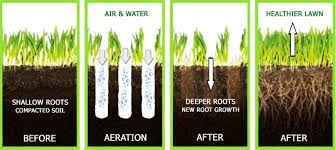 Hi, in this video i explain all about how you should scarify your own lawns and also aerate your own lawns too.lawn scarification is an important procedure. Fall Lawn Care Core Aeration Landscaping Services In Topeka Ks
