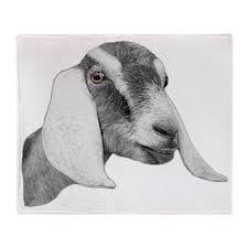Nubian Goat Sketch Throw Blanket Nubian Goat Sketch More