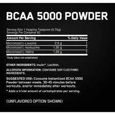 optimum nutrition bcaa 5000 powder 60