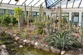 Cactus Garden Places Of Interest