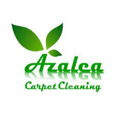 azalea carpet cleaning summerville