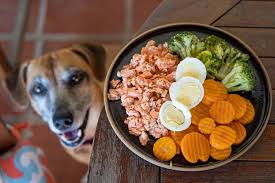 salmon broccoli dog food recipe