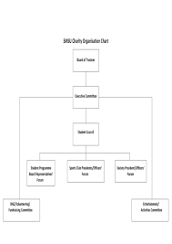 Smsu Organisation Structure By David Hayes Issuu