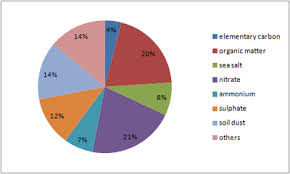 61 Valid Pie Chart About Air Pollution