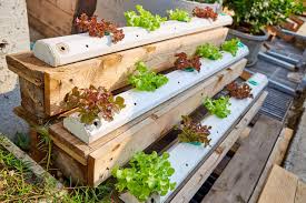 cost to start a hydroponic garden