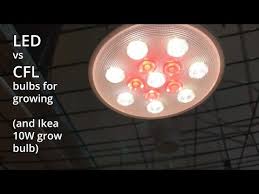Cfl Vs Led Vs Ikea Grow Light Bulb Grow Light Test Ppfd Footprint Ledtonic