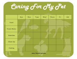 Printable Pet Care Chore Chart