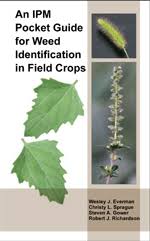 identifying weeds in field crops