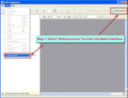 batch insert blank pages within pdf
