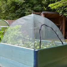 Umbrella Fruit Cage Raised Bed Plant