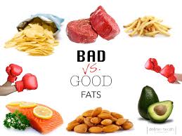 Good Fat Vs Bad Fat Jr Honest Review