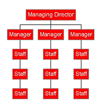 Tall Organisational Structures