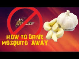 diy how to make mosquito repellent
