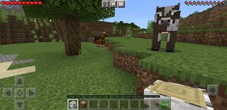 I have bought the game, i got the purchase comp. Minecraft 1 17 41 01 Descargar Para Android Apk Gratis