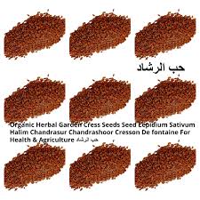 600g garden cress seeds lepidium