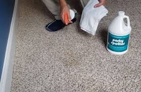 hydro clean carpet spot removal guide