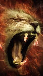 hd flaming lion wallpapers peakpx