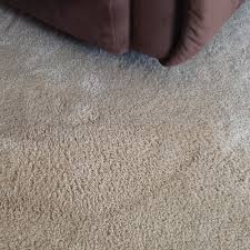 top 10 best carpet repair recommended