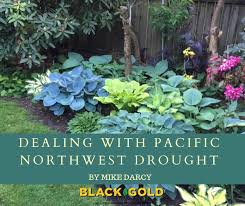 Dealing With Pacific Northwest Drought