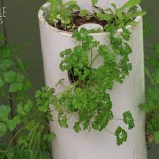 pvc tower garden to grow lots of greens