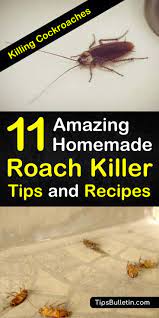 They can snack on your food, damage wallpaper, books, and electronics, and some species of cockroach also spread germs to humans. Killing Cockroaches 11 Amazing Homemade Roach Killer Tips And Recipes