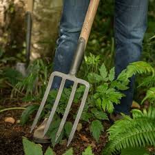 Dewit Garden Tools Tropical Plant Guy