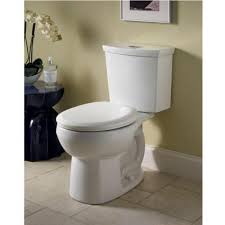 Dual Flush Toilet