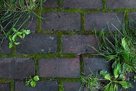 Remove Moss From Paving Stones