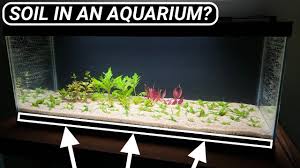 planted aquarium with soil substrate