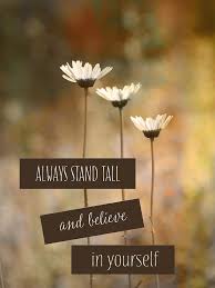 Stand tall quotes & sayings. Stand Tall Photograph By Lori Deiter