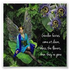 Peacock Fairy Garden Fairy Quote