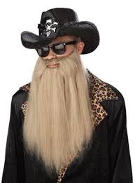 halloween costumes for guys with beards