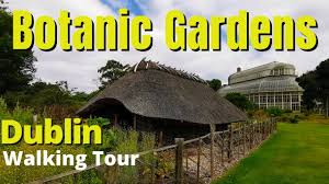 the national botanic gardens of dublin