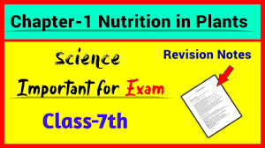 cl 7 science chapter 1 revision