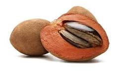 is-mamey-same-as-chico