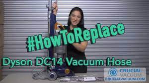 dyson dc14 vacuum hose replacement