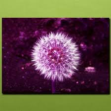 dandelion purple flower art metal plate
