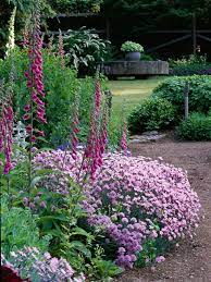 Perfect Pink And Purple Plant Combinations